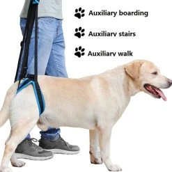 Mia's Pet Supply 2019 New Adjustable Dog Lift Harness For Back Legs