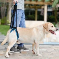 Mia's Pet Supply 2019 New Adjustable Dog Lift Harness For Back Legs