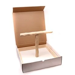 Mia's Pet Supply Parrot T Perch Stand Lg