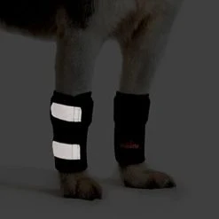Mia's Pet Supply Pair Of NeoAlly Dog Front Leg Braces Canine Carpal Support