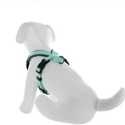 Mia's Pet Supply Pawtitas Padded Harness Puppy Harness Dog Harness Reflective Leashes And Harness