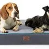 Mia's Pet Supply Bedding Bedsure XL Orthopedic Memory Foam Dog Bed
