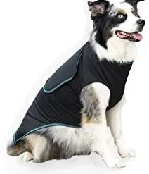 Mia's Pet Supply BENEFAB Therapeutic Anxiety Shirt For Dogs Apparel