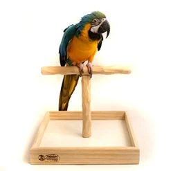Mia's Pet Supply Parrot T Perch Stand Lg