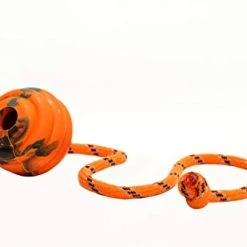 Mia's Pet Supply Dog Toys : PlayfulSpirit Durable Natural Rubber Ball On A Rope
