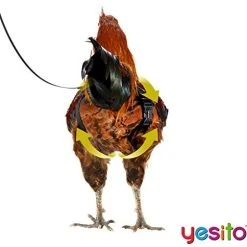 Mia's Pet Supply Yesito Chicken Harness Hen Size With 6ft Matching Leash