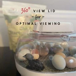 Mia's Pet Supply Harris Farms Nurture Right Incubator Chicken Coop Cages