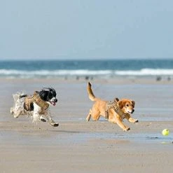 Mia's Pet Supply Tactical Dog Vest Harness, Outdoor Training Service Dog Vest Leashes And Harness