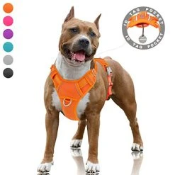 Mia's Pet Supply BARKBAY No Pull Dog Harness Large Step In Reflective Dog Harness Leashes And Harness
