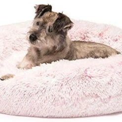 Mia's Pet Supply : Friends Forever Luxury Marshmallow Cat Bed,