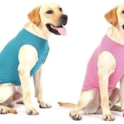 Mia's Pet Supply Apparel WEONE Dog Summer T-Shirts Striped Cotton Vest