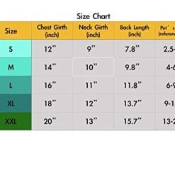 Mia's Pet Supply Vivid Dust Coat Colorful Denim Dog Jacket Apparel