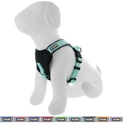 Mia's Pet Supply Pawtitas Padded Harness Puppy Harness Dog Harness Reflective Leashes And Harness