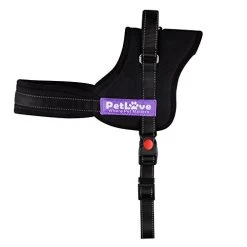 Mia's Pet Supply : Soft Leash Padded No Pull Dog Harness With All Kinds Of Size (XXX Small, Black)