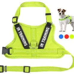 Mia's Pet Supply Leashes And Harness NOYAL In Training Dog Harness, Soft Breathable Mesh Dog Vest Harness