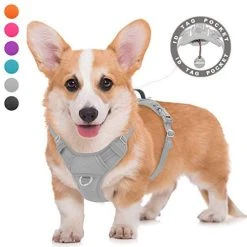 Mia's Pet Supply BARKBAY No Pull Dog Harness Large Step In Reflective Dog Harness Leashes And Harness