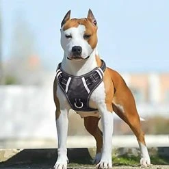 Mia's Pet Supply : Babyltrl Big Dog Harness No-Pull Adjustable Leashes And Harness