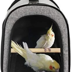 Mia's Pet Supply X-ZONE Portable Pet Bird Parrot Carrier - Transparent, Breathable Travel Cage for Cats & Dogs 9 Mia's Pet Supply X-ZONE Portable Pet Bird Parrot Carrier Transparent Breathable Travel Cage