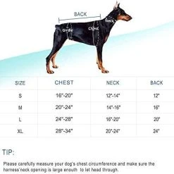 Mia's Pet Supply Apparel RINGLOOSE Dog Winter Coat Reversible