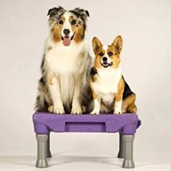 Mia's Pet Supply The KLIMB Dog Training Platform And Agility System