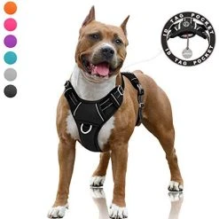 Mia's Pet Supply BARKBAY No Pull Dog Harness Large Step In Reflective Dog Harness Leashes And Harness