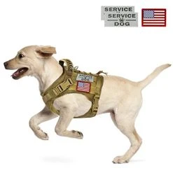 Mia's Pet Supply Tactical Dog Vest Harness & Leash Set - Durable, Adjustable, Reflective for Safety 22 Mia's Pet Supply Leashes And Harness Tactical Service Dog Vest Harness