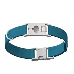 Mia's Pet Supply Leashes And Harness : Whistle GO/GO Explore/Twist & Go Pet Collars/Squirrel Grey/Medium-Large : Pet Supplies