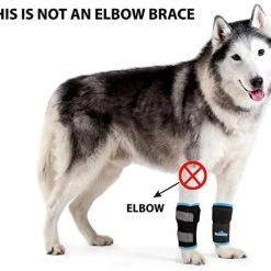 Mia's Pet Supply Pair Of NeoAlly Dog Front Leg Braces Canine Carpal Support