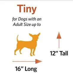 Mia's Pet Supply Travel Pet Carrier - Hard-Sided Dog & Cat Carrier for Small Animals | Durable & Airline Approved 12 Mia's Pet Supply Travel Pet Carrier: Hard-Sided Dog Carrier, Cat Carrier, Small Animal Carrier