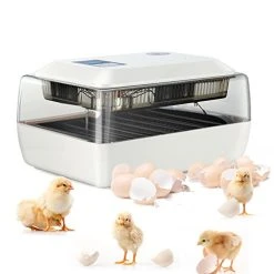 Mia's Pet Supply Magicfly Digital Fully Automatic Egg Incubator 24 Eggs Poultry Hatcher For Chickens Ducks Chicken Coop Cages