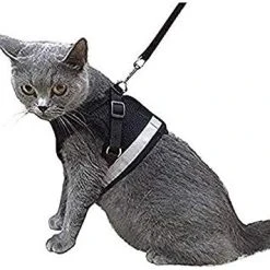 Mia's Pet Supply Leashes And Harness Kamots Beauty Escape Proof Dog Cat Harness And Leash
