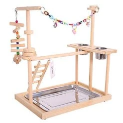 Mia's Pet Supply : QBLEEV Parrot Wood Stand Perch Bird Playstand Playground