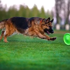 Mia's Pet Supply : COLLAR Floppy Dog Frisbee -