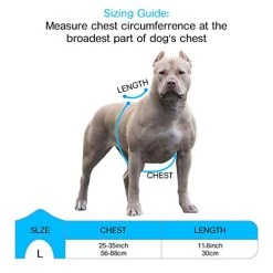 Mia's Pet Supply : Babyltrl Big Dog Harness No-Pull Anti-Tear Adjustable