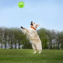 Mia's Pet Supply : COLLAR Floppy Dog Frisbee -