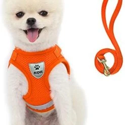 Mia's Pet Supply Cat Harness And Leash Set For Walking Cat And Small Dog Harness