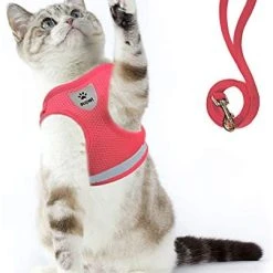 Mia's Pet Supply Cat Harness And Leash Set For Walking Cat And Small Dog Harness