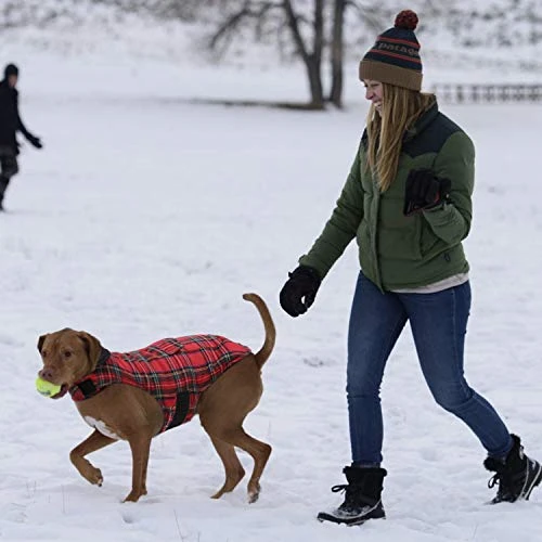 Mia's Pet Supply KAMA BRIDAL Plaid Reversible Dog Fleece Vest - Warm & Stylish Dog Apparel 6 Mia's Pet Supply Apparel KAMA BRIDAL Plaid Dog Fleece Vest, Reversible Warm Dog Clothes,