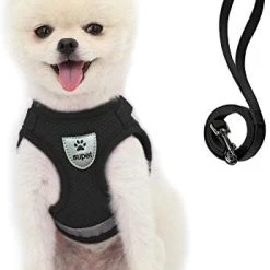 Mia's Pet Supply Cat Harness And Leash Set For Walking Cat And Small Dog Harness