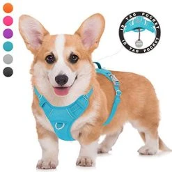 Mia's Pet Supply BARKBAY No Pull Dog Harness Large Step In Reflective Dog Harness Leashes And Harness