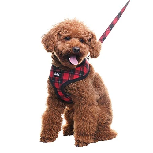 PUPTECK Soft Mesh Dog Harness with Leash - Comfortable & Adjustable for Small to Large Dogs 6 Mia's Pet Supply : PUPTECK Soft Mesh Dog Harness With Leash -