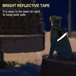 Mia's Pet Supply Cat Harness And Leash Set For Walking Cat And Small Dog Harness