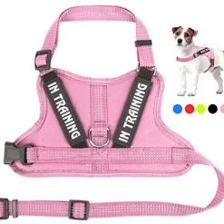 Mia's Pet Supply Leashes And Harness NOYAL In Training Dog Harness, Soft Breathable Mesh Dog Vest Harness