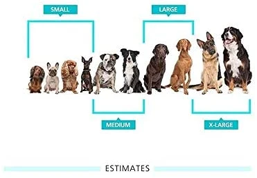 Mia's Pet Supply Apparel Pet & Protect Premium Reflective Dog Vest - High Visibility Safety Gear for Dogs 4 Mia's Pet Supply Apparel Pet & Protect Premium Dog Reflective Vest