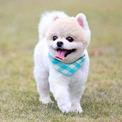 Mia's Pet Supply Freewindo Dog Bandana Set, 6PCS Reversible Plaid Dog Bandanas, Apparel