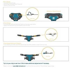 Mia's Pet Supply Embark Adventure Harness for Dogs - Durable & Comfortable Leash & Harness Set 19 Mia's Pet Supply Leashes And Harness : Embark Adventure Harness For Dogs