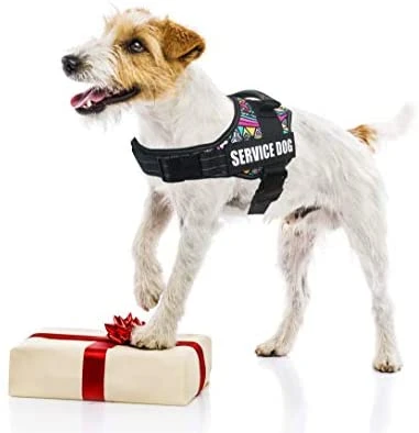 Mia's Pet Supply Dihapet Dog Harness & Service Vest - Top 10 Rated for Comfort & Safety 4 Mia's Pet Supply Dihapet Dog Harness, Service Dog Vest