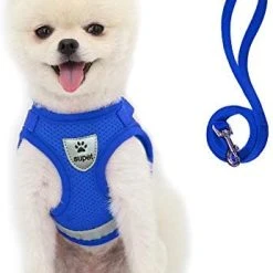 Mia's Pet Supply Cat Harness And Leash Set For Walking Cat And Small Dog Harness