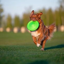 Mia's Pet Supply : COLLAR Floppy Dog Frisbee -