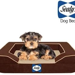 Mia's Pet Supply Bedding Sealy Lux Pet Dog Bed | Quad Layer Technology With Memory Orthopedic Foam